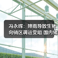 冯永辉：降雨导致生猪向销区调运受阻 国内猪...（图4）