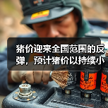 猪价迎来全国范围的反弹,预计猪价以持续小幅...(图4) 猪价迎来全国范围的反弹,预计猪价以持续小幅...(图4)