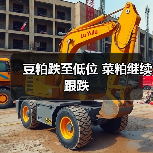 菜粕报价下跌 未来走势如何？-辰飞雨园艺网