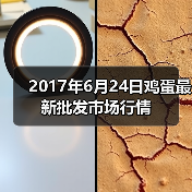2017年6月24日鸡蛋最新批发市场行情（图1）