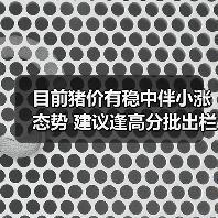 目前猪价有稳中伴小涨态势 建议逢高分批出栏...(图3) 目前猪价有稳中伴小涨态势 建议逢高分批出栏...(图3)