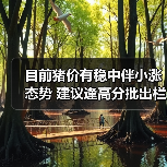 目前猪价有稳中伴小涨态势 建议逢高分批出栏...(图2) 目前猪价有稳中伴小涨态势 建议逢高分批出栏...(图2)