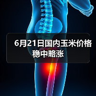 6月21日国内玉米价格稳中略涨