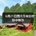 6月21日国内玉米价格稳中略涨（图3）