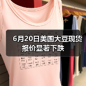 6月20日美国大豆现货报价显著下跌(图3) 6月20日美国大豆现货报价显著下跌(图3)