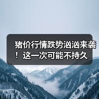 猪价行情跌势汹汹来袭！这一次可能不持久（图4）