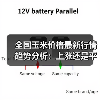 全国玉米价格最新行情趋势分析:上涨还是平稳?(图4) 全国玉米价格最新行情趋势分析:上涨还是平稳?(图4)