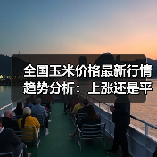 全国玉米价格最新行情趋势分析:上涨还是平稳?(图3) 全国玉米价格最新行情趋势分析:上涨还是平稳?(图3)