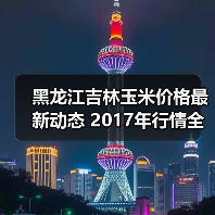 黑龙江吉林玉米价格最新动态 2017年行情全览(图3) 黑龙江吉林玉米价格最新动态 2017年行情全览(图3)