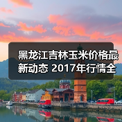黑龙江吉林玉米价格最新动态 2017年行情全览(图4) 黑龙江吉林玉米价格最新动态 2017年行情全览(图4)