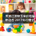 黑龙江吉林玉米价格最新动态 2017年行情全览(图1) 黑龙江吉林玉米价格最新动态 2017年行情全览(图1)
