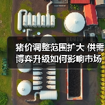 猪价调整范围扩大 供需博弈升级如何影响市场?(图1) 猪价调整范围扩大 供需博弈升级如何影响市场?(图1)