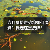 六月猪价走势将如何演绎？稳定还是反弹？（图1）