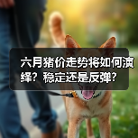 六月猪价走势将如何演绎？稳定还是反弹？（图3）
