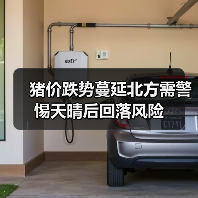 猪价跌势蔓延北方需警惕天晴后回落风险（图1）