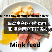 蛋鸡主产区价格稳中上涨 供需博弈下行情如何？