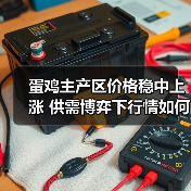 蛋鸡主产区价格稳中上涨 供需博弈下行情如何？（图4）