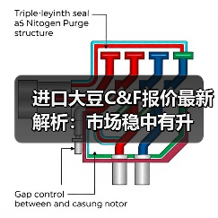 进口大豆C&F报价最新解析：市场稳中有升（图1）