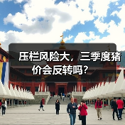 压栏风险大，三季度猪价会反转吗？