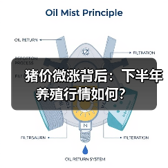 猪价微涨背后：下半年养殖行情如何？（图4）
