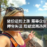 猪价逆势上涨 屠宰企业押宝失误 后期或再遇困境（图2）