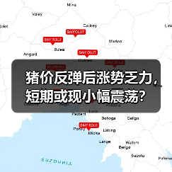 猪价反弹后涨势乏力，短期或现小幅震荡？