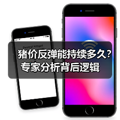 猪价反弹能持续多久？专家分析背后逻辑（图4）