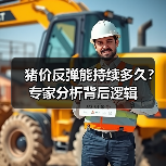 猪价反弹能持续多久？专家分析背后逻辑（图1）