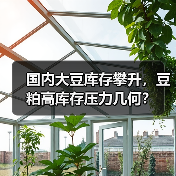 国内大豆库存攀升，豆粕高库存压力几何？（图2）