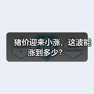 猪价迎来小涨，这波能涨到多少？（图2）
