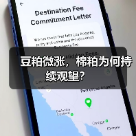 豆粕微涨，棉粕为何持续观望？（图4）