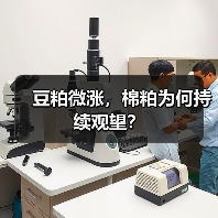 豆粕微涨，棉粕为何持续观望？（图3）