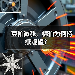 豆粕微涨，棉粕为何持续观望？（图2）