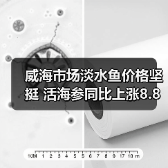威海市场淡水鱼价格坚挺 活海参同比上涨8.8%（图4）