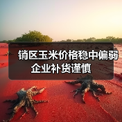 销区玉米价格稳中偏弱 企业补货谨慎（图3）