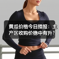 黄瓜价格今日播报：主产区收购价稳中有升？（图3）