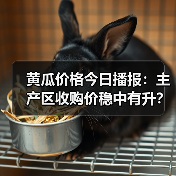 黄瓜价格今日播报：主产区收购价稳中有升？（图2）