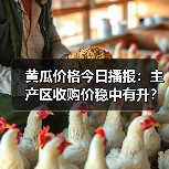黄瓜价格今日播报：主产区收购价稳中有升？