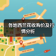 各地西兰花收购价及行情分析（图3）