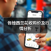各地西兰花收购价及行情分析（图4）