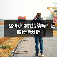 猪价小涨能持续吗？区域行情分析（图3）