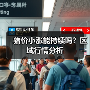 猪价小涨能持续吗？区域行情分析