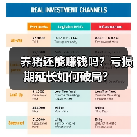 养猪还能赚钱吗？亏损期延长如何破局？