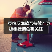 豆粕反弹能否持续?豆棕倒挂现象引关注(图2) 豆粕反弹能否持续?豆棕倒挂现象引关注(图2)