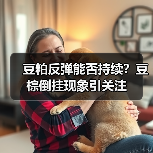 豆粕反弹能否持续?豆棕倒挂现象引关注(图1) 豆粕反弹能否持续?豆棕倒挂现象引关注(图1)