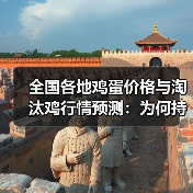 全国各地鸡蛋价格与淘汰鸡行情预测：为何持续上涨？（图2）