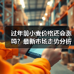 过年前小麦价格还会涨吗？最新市场走势分析（图4）
