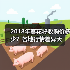 2018年葵花籽收购价多少？各地行情差异大（图3）