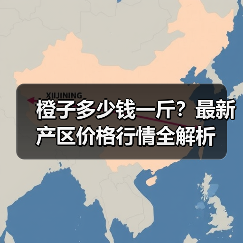 橙子多少钱一斤？最新产区价格行情全解析（图2）