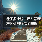 橙子多少钱一斤？最新产区价格行情全解析